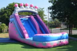 29f38b1ea899e88d71d1558a2e39c1a4 1594523803 14 ft Pink Purple Waterslide #421