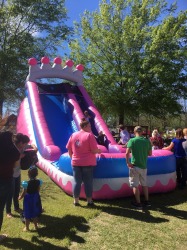 77BCE18A B5E4 4ADE AA92 0299950ADB33 1576438282 18 ft Pink purple waterslide #415