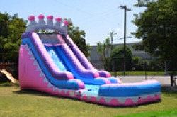 77c0581ab35cbf77a01c2b453008b273 1594523803 14 ft Pink Purple Waterslide #421