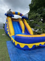 14 Ft Dolphin Slide #423