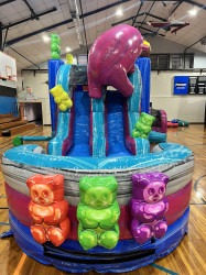 Bouncy20Slide20combo20Dual20Slide20220 1734468674 Gummy Bear Castle with Large Dual Slide #220