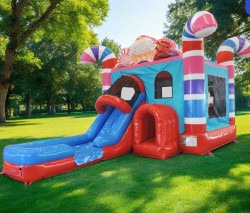 NEW Candy Land Castle with slide 219