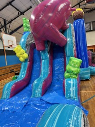 Castle20and20large20Slide20bouncy2022020 1734468675 Gummy Bear Castle with Large Dual Slide #220