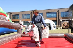 Mechanical20Bull201 1733421472 Mechanical Bull