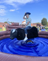 Mechanical20Bull203 1733421474 Mechanical Bull