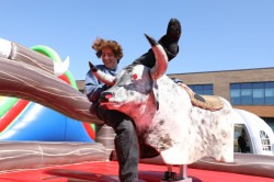 Mechanical Bull