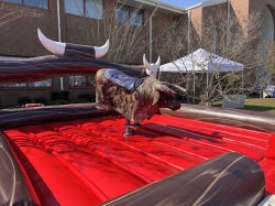 Mechanical20Bull206 1733421474 Mechanical Bull