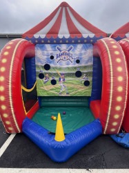 Baseball Carnival Game