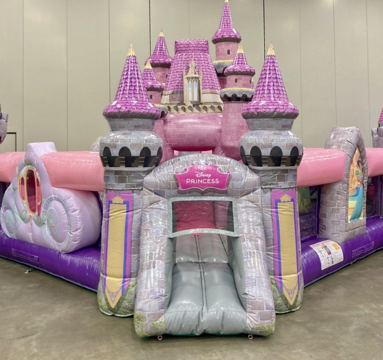 Disney Princess Castle Playground - 512