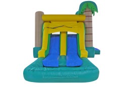 Tropical20Castle20with20227 1736968322 Tropical Combo Wet/Dry #227