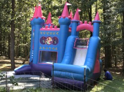 Princess Castle with Slide (216)