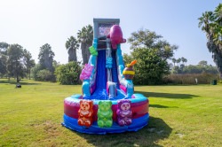 25 FT Gummy Bear Water Slide #435