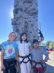 Rockwall204 1733424001 Rock Wall