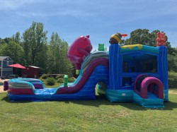 Gummy Bear Castle with Large Dual Slide #220