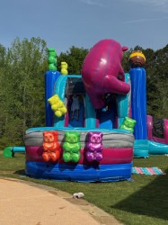 castle20slide20gummy 1751983136 Gummy Bear Castle with Large Dual Slide #220