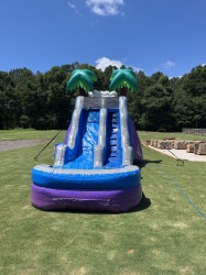 77212873651 F1436E17 597E 490A A507 8F48C06916B2 1763051850 18 Ft Tropical Paradise Slide Wet/Dry #412