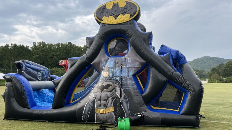 Batman Giant Slide #514B